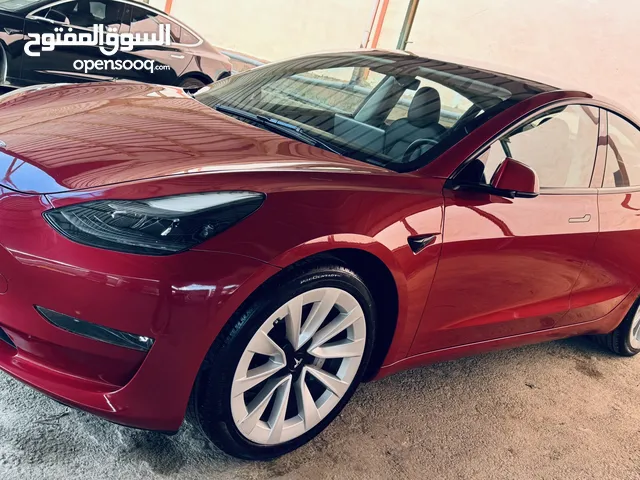 Tesla model 3. 2023