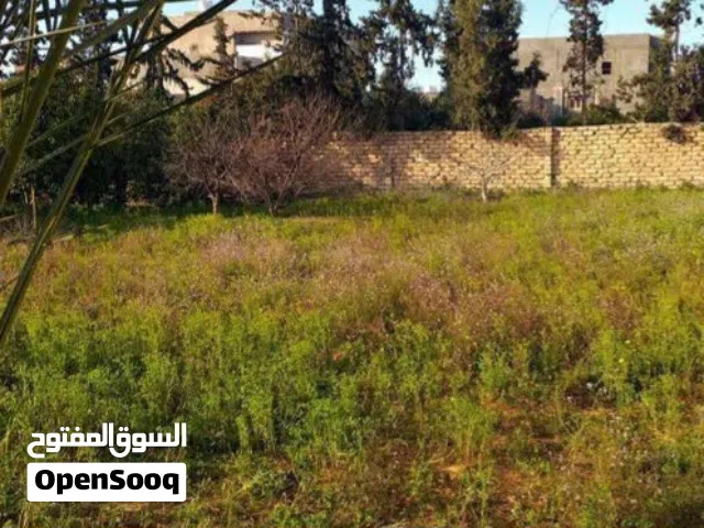 منزل وأرض بشارع المنزلية للبيع