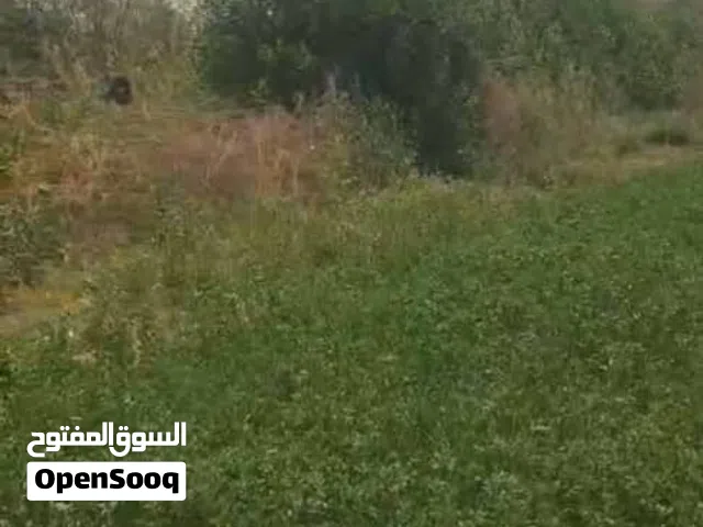 Farm Land for Sale in Khartoum Elfaki Hashim