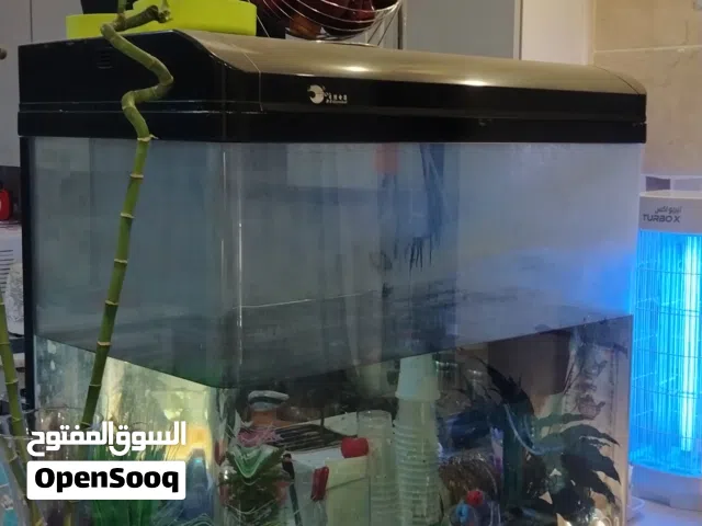 حوض سمك كبير طاوله خاصه له
