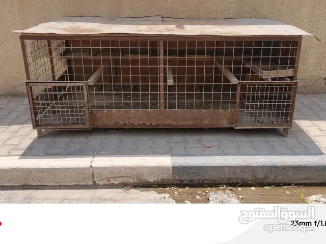 قفص مال طيور طول مترين ونص ارتفاع متر