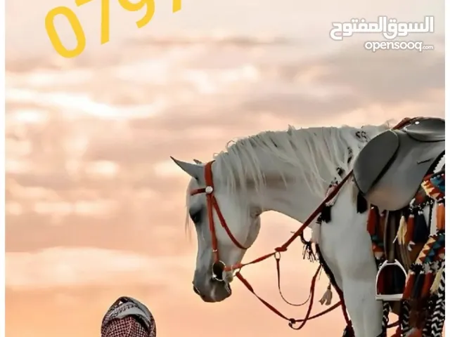 رقم زين مميز للبيع