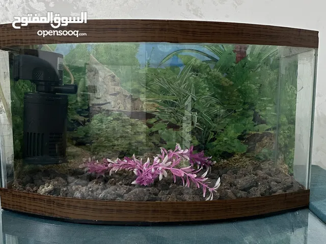حوض سمك للبيع