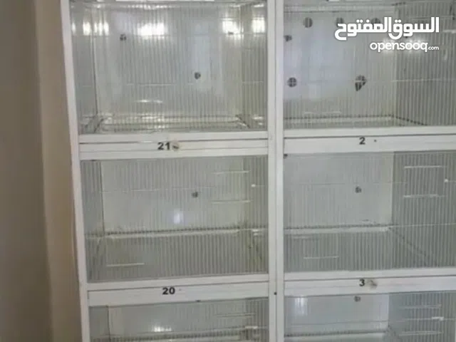 اقفاص طيور للبيع