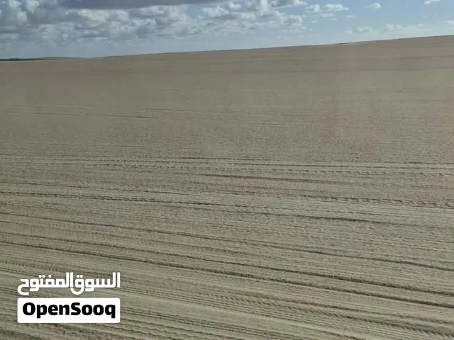 شركة سنة 2023 للبيع ب 1000 دينار