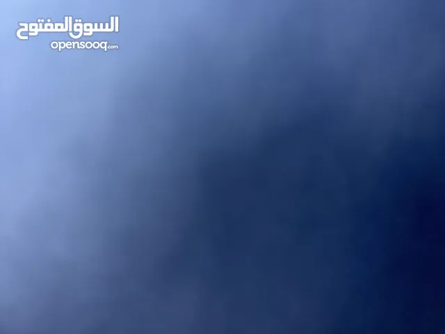 شركة تأجير سيارات في الشارقه