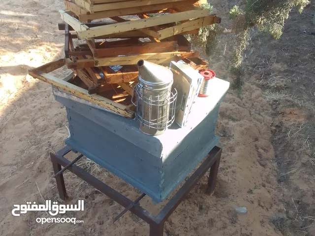 بيوت النحل