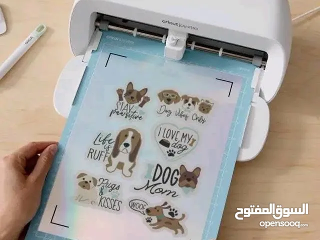 كريكت جوي .