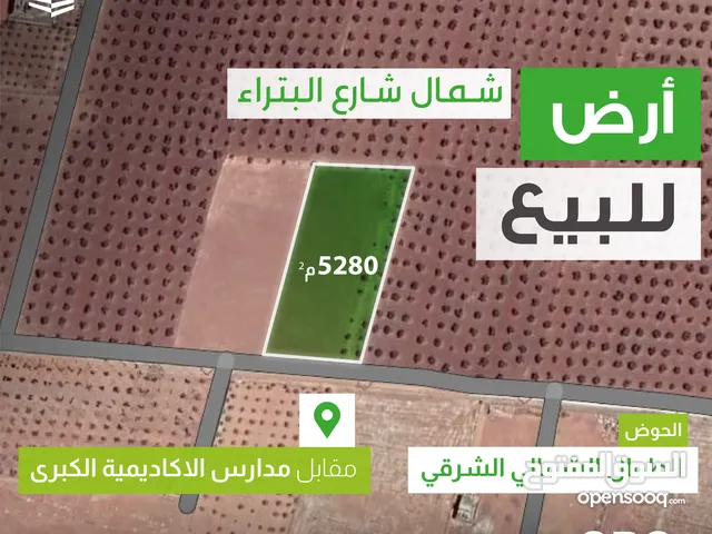 Farm Land for Sale in Irbid Al Sareeh