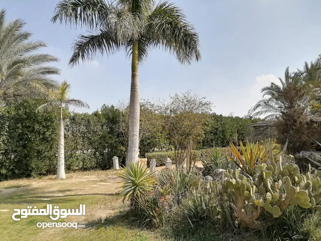 300 m2 5 Bedrooms Villa for Sale in Giza 6th of October