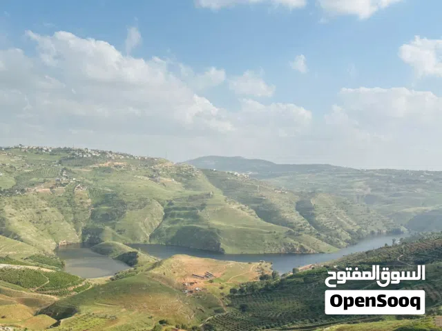 Mixed Use Land for Sale in Jerash Al-Majdal