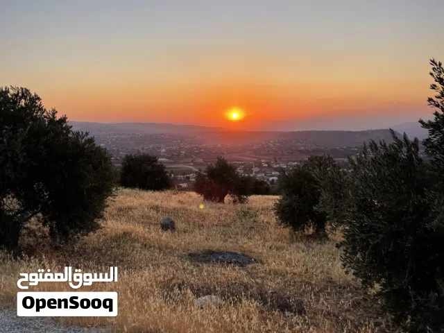 Farm Land for Sale in Salt Jala'd