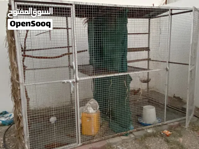 قفص للبيع بسعر50