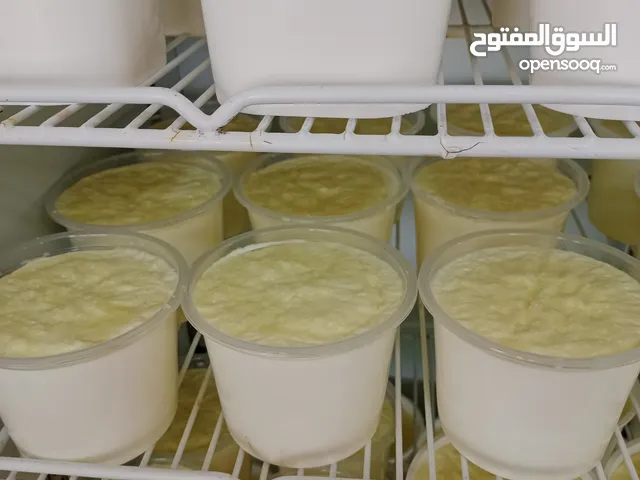 البان واجبان نخب اول من مصنع العثمان