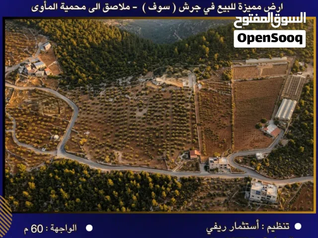 Farm Land for Sale in Jerash Soof