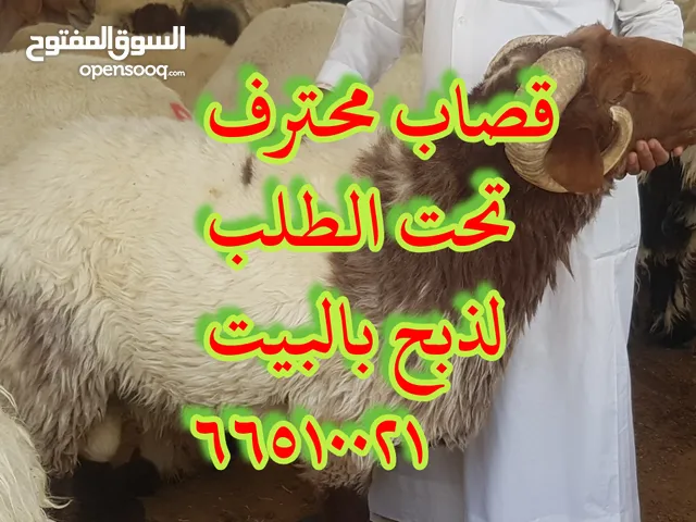 قصاب جزار متنقل تحت الطلب