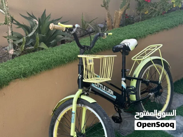 سيكل أولاد كبير