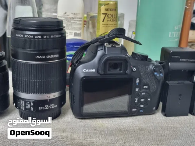 cannon  55-250mm stm lend gor good photographs
