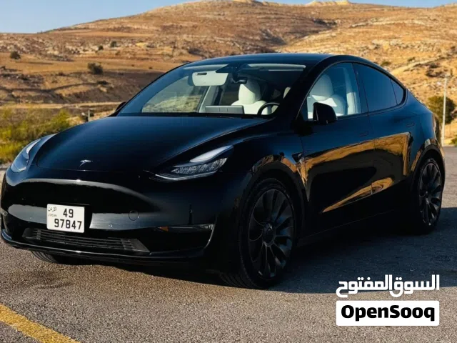 2020 Tesla Model Y Performance