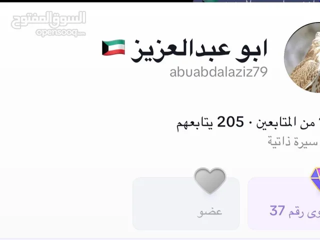 حساب تيك توك