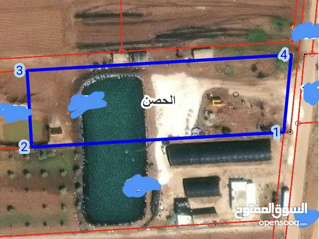 Farm Land for Sale in Irbid Al Husn