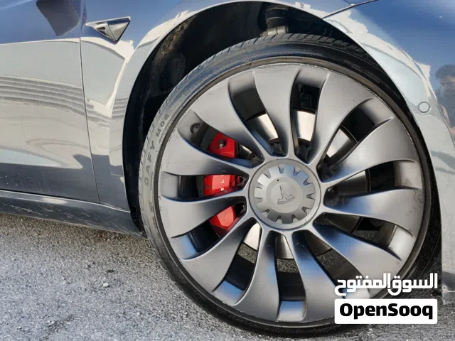 2021 Tesla Model 3 Performance