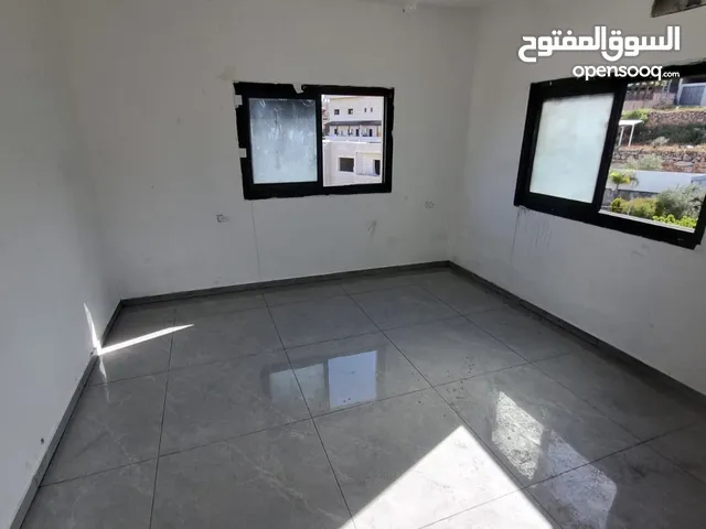 رضا ابو بكر