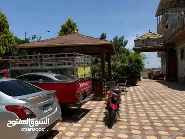 فرصة للأستثمار للبيع مزرعة للإنتاج الحيوانى