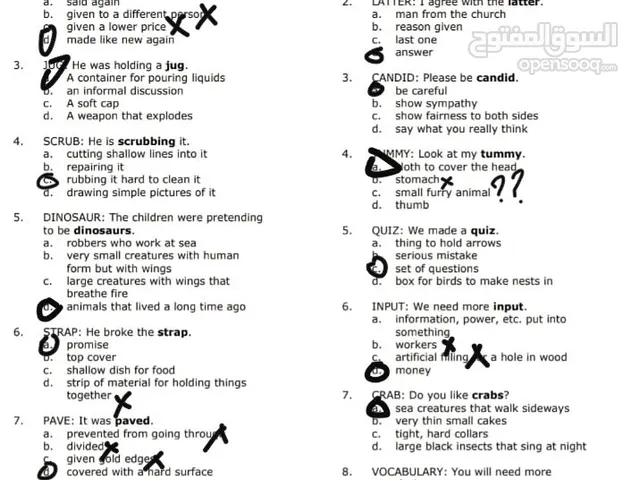 Language courses in Irbid