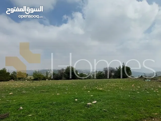 Residential Land for Sale in Amman Badr Jdedeh