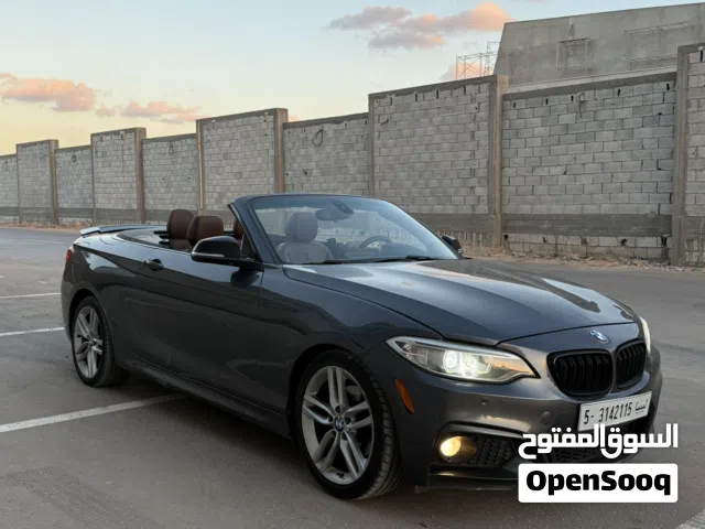 BMW 230i ( 2017 )