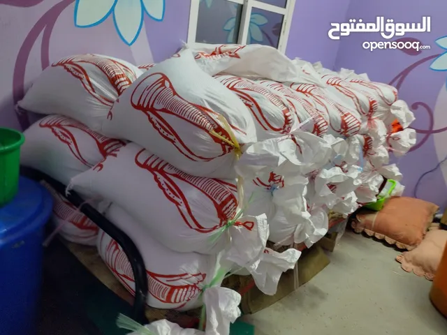 للبيع قمح (بر) عماني صنف ممتاز من انتاج مزارع الظاهرة انتاج 2024
