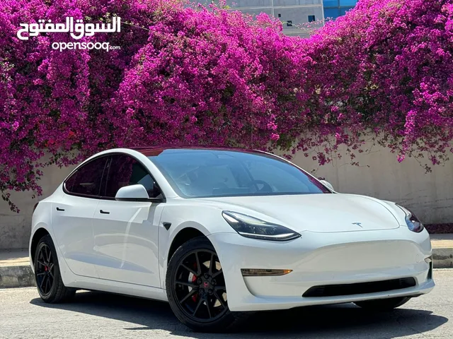 Tesla Model 3 Standerd Plus 2021 تيسلا فحص كامل