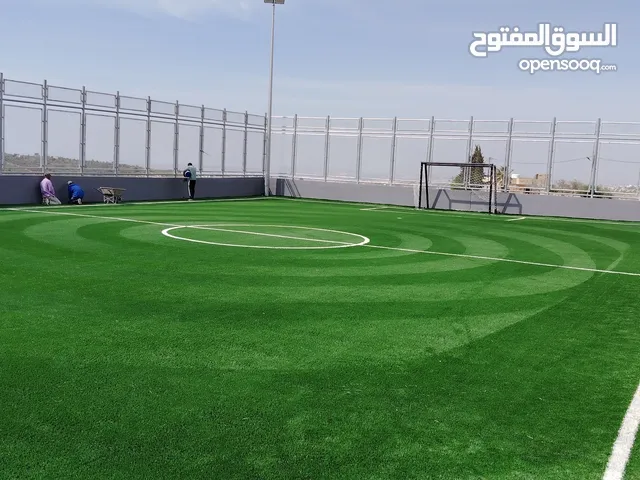 العشب الصناعي الخاص للملاعب الرياضيه