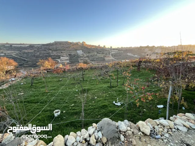 Mixed Use Land for Sale in Hebron Halhul