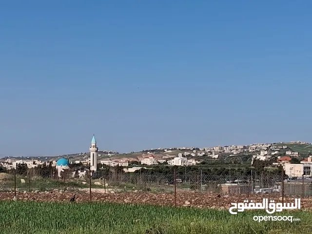 Residential Land for Sale in Salt Al Saro