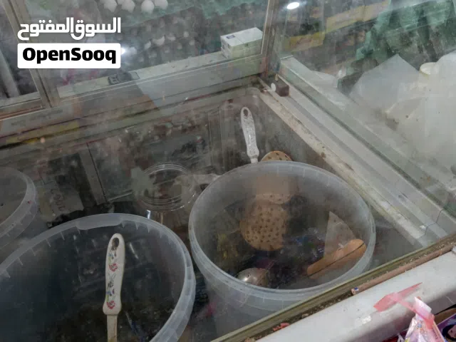 عارضة محل تشبه المجمدة عاطله للبيع