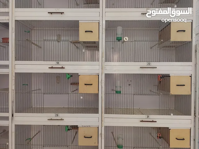 اقفاص المنيوم كل واحد مكون من اربع خانات