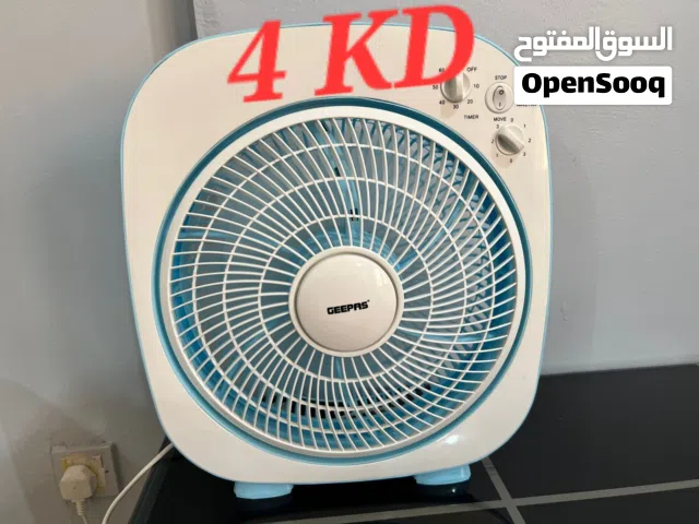 FAN (2 Months Old)