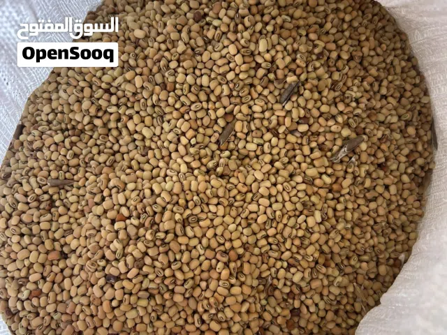 لوبيا عمانيه