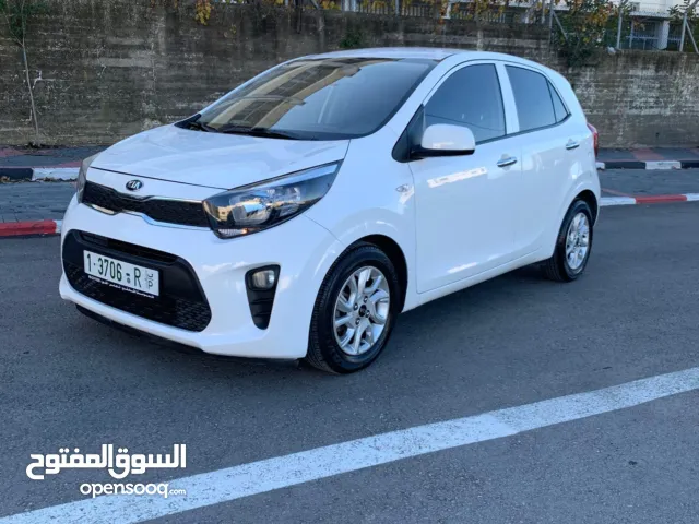 كيا بيكانتو كرتونه