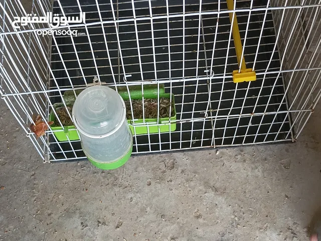قفص طيور الله ايبارك