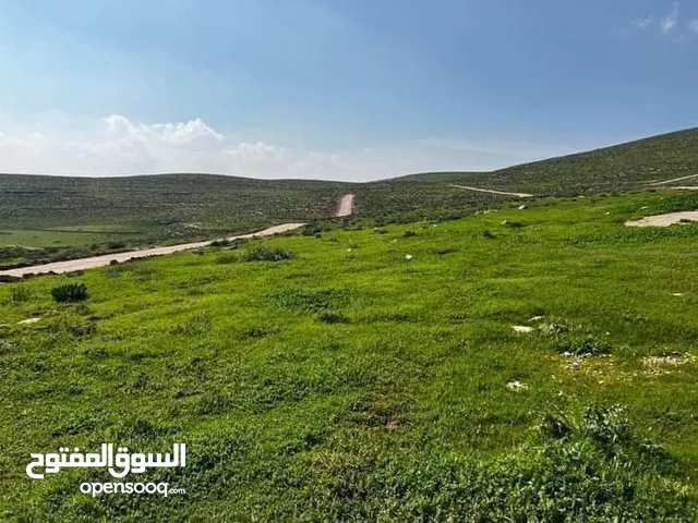 Mixed Use Land for Sale in Mafraq Dahl