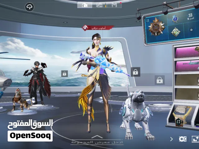Pubg Accounts and Characters for Sale in Mafraq