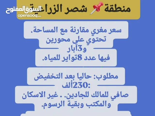 أرض زراعية للبيع شصر شمال ثمريت  فيها آبار وثمار مؤجره حاليا