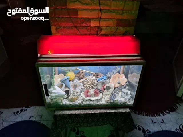 حوض سمك  زينه كما في الصورة