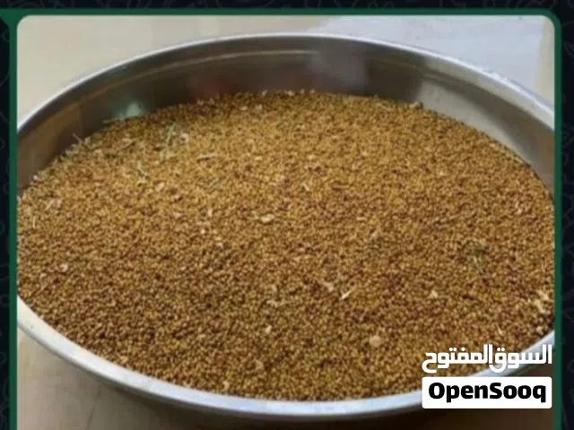 بذر قت عماني