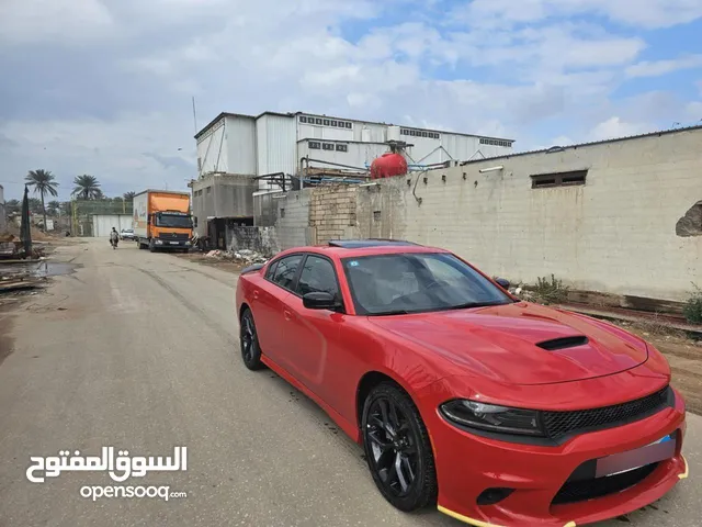 جارجر خليجي وكالة هارلم 2023 مغلفة PPF