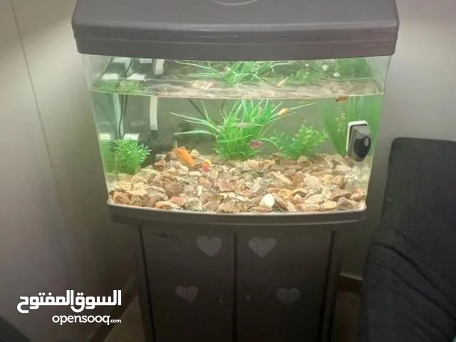 حوض سمك اجنبي للبيع