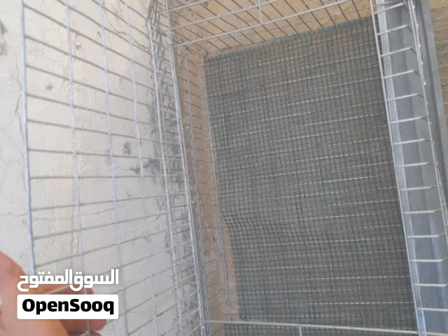 سعر حررق ومع الشاري منقصروش